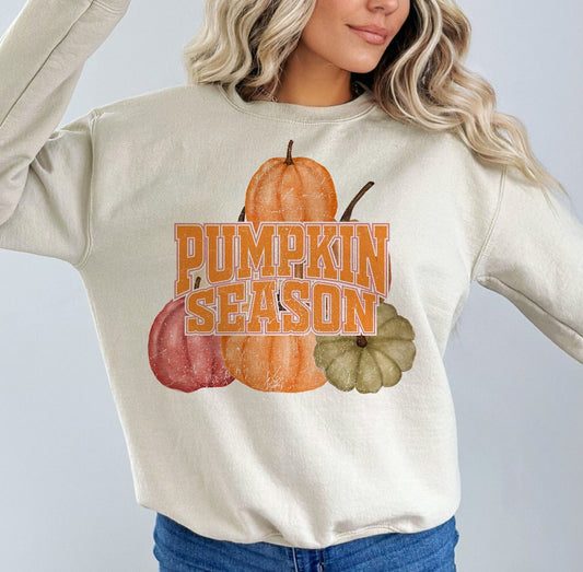 Graphic Sweatshirt- Pumpkin Season