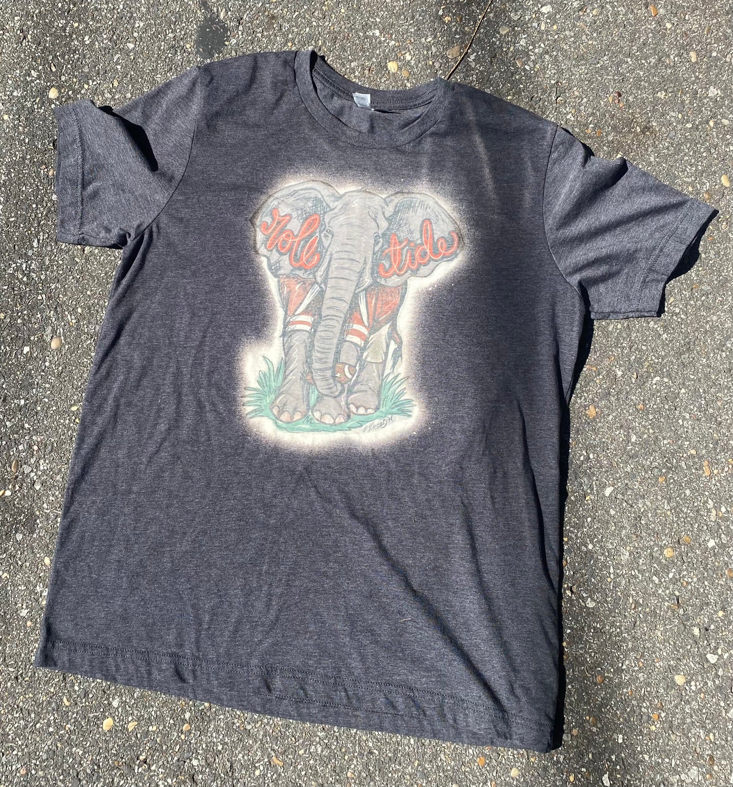 Elephant Bleached